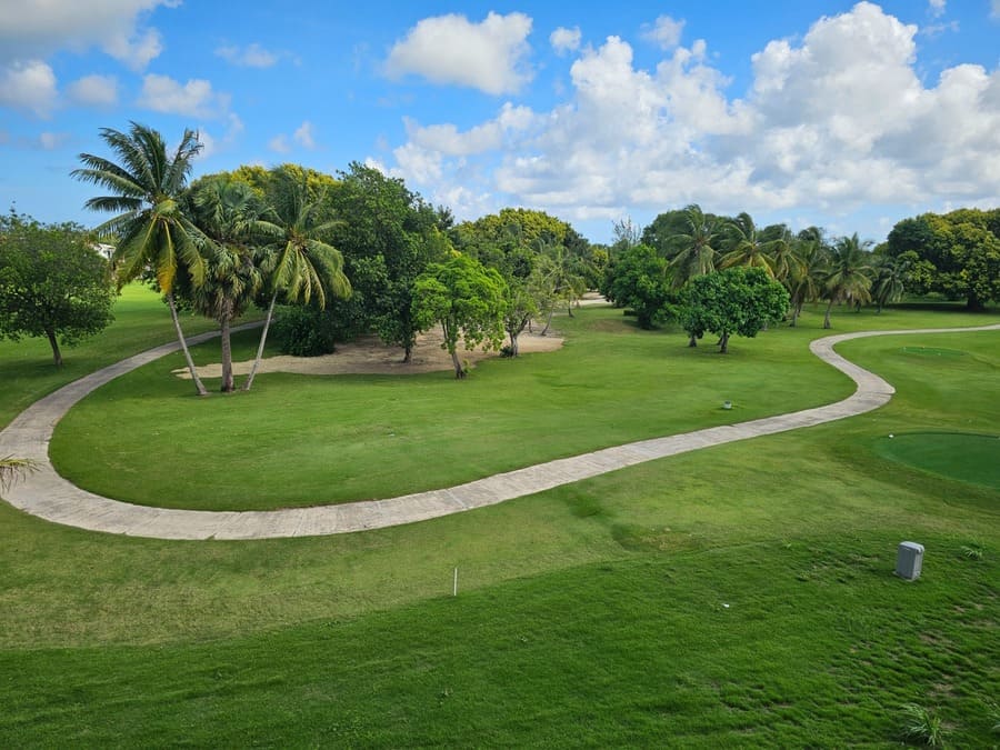 apartamento-alquiler-coral-bahia-cocotal (2)